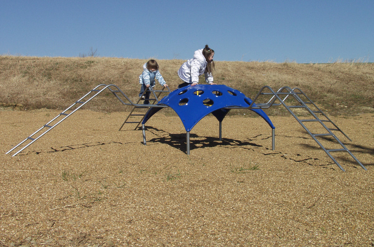Sports Play Charlotte the Spider Playscape