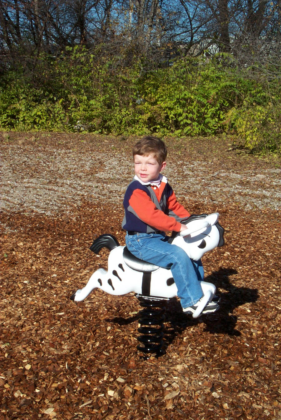 Sports Play Zebra Spring Rider